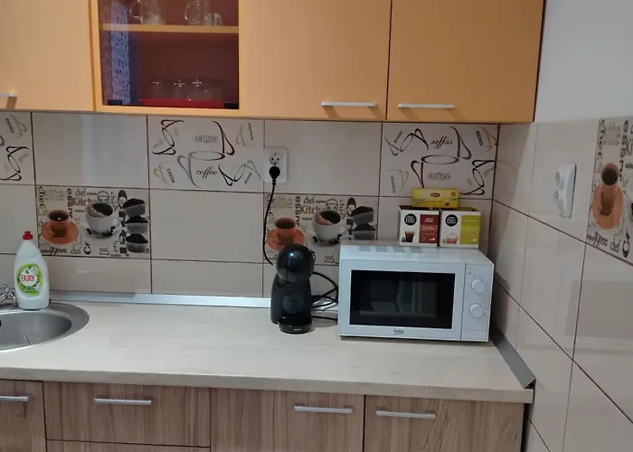 Apartment Mgi Coresi & Parking *